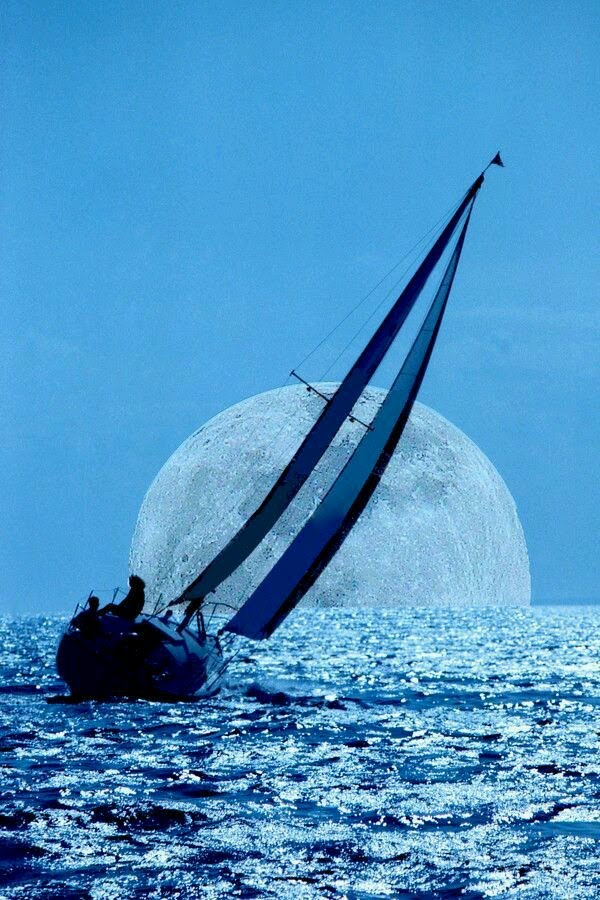 <a href="/safsafayoub/">kim</a> <a href="/niuracastrillon/">𝙉𝙞𝙪𝙧𝙖 𝘾𝙖𝙨𝙩𝙧𝙞𝙡𝙡𝙤́𝙣 🇧🇷</a> @VictoriaD6363 <a href="/IsabelPerez1232/">💦Isabel Perez 💦</a> <a href="/pantone213u/">Magenta</a> <a href="/silvisol24/">⚘🌺🌼Silvia 🌼🌺⚘🇦🇷</a> <a href="/lv4gab/">Gaby</a> <a href="/MarceloMjrios/">🎰♠️ʍɑʀɔəɭʘ</a> <a href="/2020sahara/">Tm_Maya Ⓜ️ #EasyGain 🌊</a> @bovb51 <a href="/purposefulact/">Purposeful Action</a> <a href="/DoriedsonRibei1/">Doriedson Ribeiro</a> <a href="/May_MGWV/">#EasyGain 👑 #Tm_Maya #GainWithMay</a> <a href="/Sylpete/">💗Sylpete 🌹</a> <a href="/BrownieJohnston/">brownie johnston</a> @CristinPereyra <a href="/LatofaOb/">👑❤Latifa❤👑</a> <a href="/silviasebille/">❤️Silvia S ❤️Amo los 👒</a> <a href="/Silau25/">♡Silvia♡</a> <a href="/clementgzsm/">Clement</a> @Joseph198916 <a href="/AJAZASLAM5/">Ajaz ASLAM</a> <a href="/grandesol2016/">LUA CHEIA DE AMOR.</a> @VeaMiAlma <a href="/CsertanAtilla/">☯️ Atilla Csertán🕉️</a> <a href="/LevykinV/">Левыкин Вячеслав</a> <a href="/politicalnaveen/">Navin🌟</a> <a href="/TaposKumarBasu/">⭐✳️🇮🇳तापोस🇮🇳✳️⭐</a> <a href="/rjgbFv5tqDNv1xr/">朝の空</a> <a href="/nabilhasan48/">حسن العراقي</a> <a href="/EliLeonarda/">👄☀ Ệŀïẓäńġệŀä 🌷🌿</a> <a href="/ahmadchahbon/">احمد شهبون</a> <a href="/memva/">luna llena</a> <a href="/teronAngel/">Angel Teron</a> <a href="/Recepet91573190/">Recepcetin_69</a> <a href="/isamuuran1316/">浩子</a> <a href="/saulastam/">Sastam_25</a> <a href="/SergioA60798547/">Sergio</a> @LudMarx1 <a href="/Reciclatecno/">♻️ @Reciclatecno🦎💻📱🖥️ YouTube°</a> <a href="/KedmaHelena1/">💕KédmaHelena1💕</a>