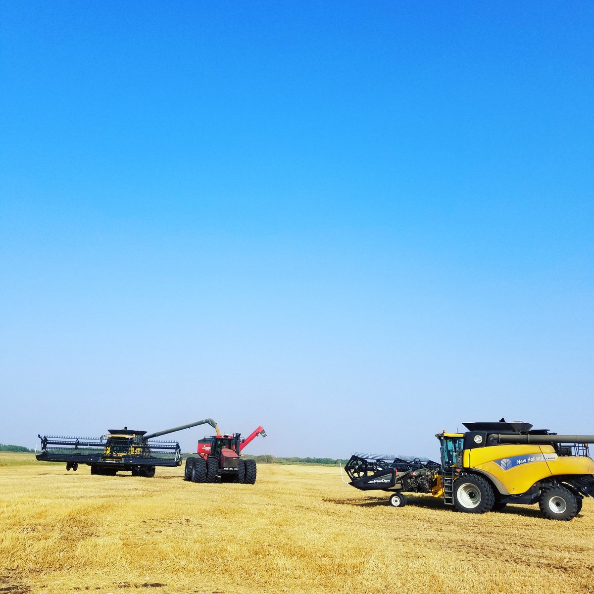 santl001's tweet photo. Wheat harvest is complete at the Santl Farm. https://t.co/CVQ0wgZp0h
