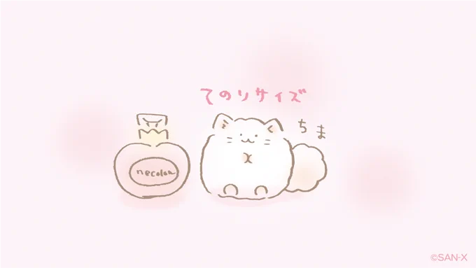 ?ねころんの身長?は
✨ちょうど香水ビンくらい✨なんだって?
#ふんわりねころん 