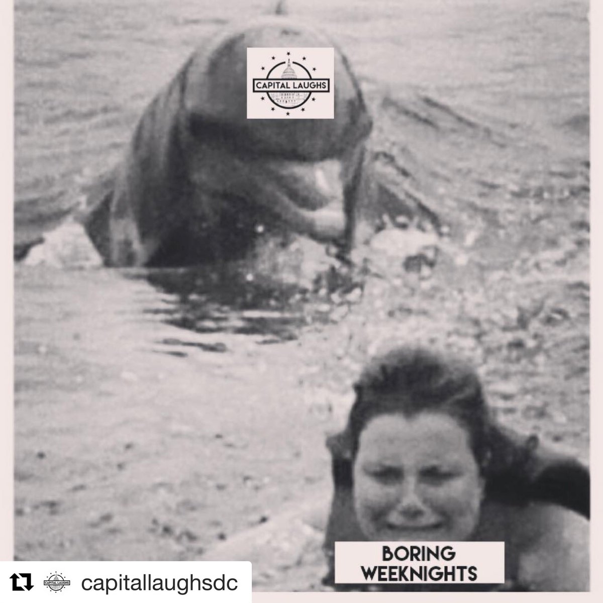 cafesaintex's tweet photo. Free comedy every Thursday and Sunday! 📸@capitallaughsdc
・・・
Check out our shows sixish nights a week!
#dcstandup #comedyshow #comedy #meme #dolphin #swim #spicymemes #dankmemes #dank #spicy #funny #lol #washington #capitallaughs #cheapdates #extendedhappyhour https://t.co/hxVwU7qhlq