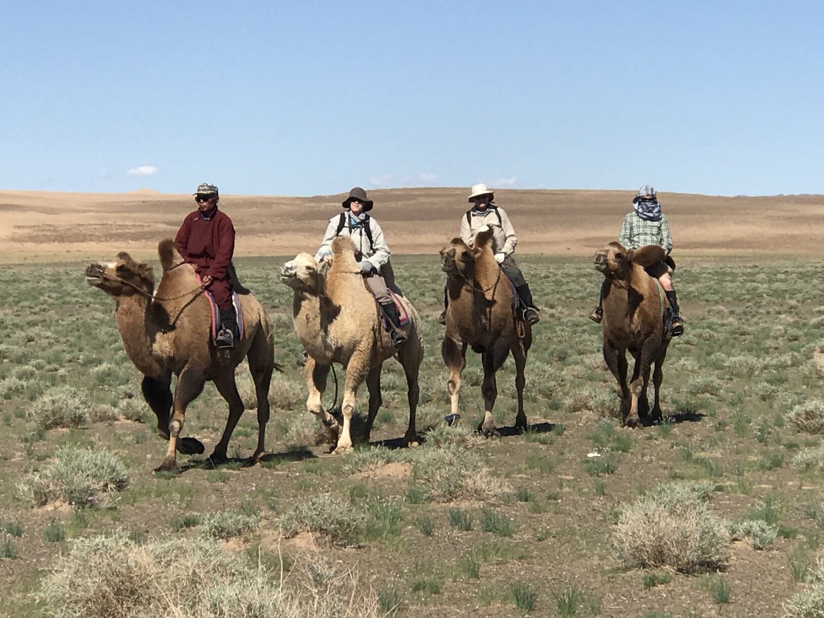 Experience a lifetime adventure in the Gobi desert of Mongolia upon the backs of two humped camels, enjoy trekking up the Singing sand dunes. #Travel #adventure #Mongolia #CamelTrekking #Nomad #Exploring #Gobi #Nature #Juulchin