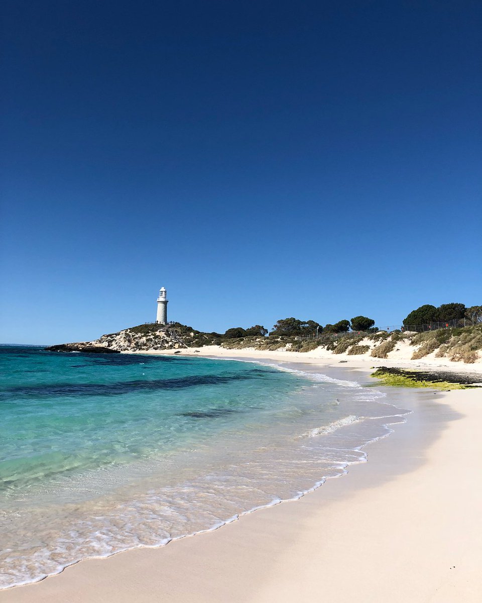 Rottnest Express tweet media