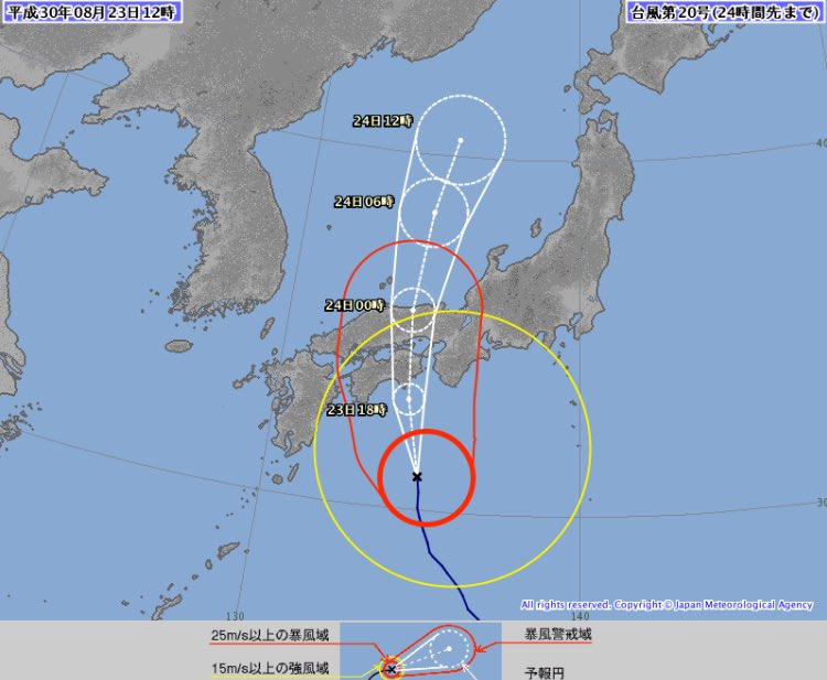 荒木健太郎 tweet media