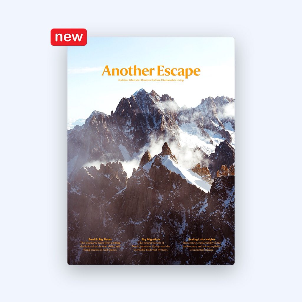 MagazineStacks tweet media