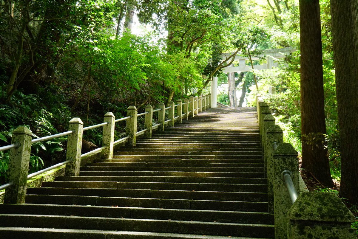 御朱印中文站on Twitter 今参拜白山比咩神社 为白山神社本社 比咩 两字音同 比売 姫 ひめ 各地分社常有多种汉字写法 祭菊理媛 尊 伊弉諾尊与伊弉冉尊 神社境内幽静 御朱印的书写风格也比之前网上流传的版本要进步不少