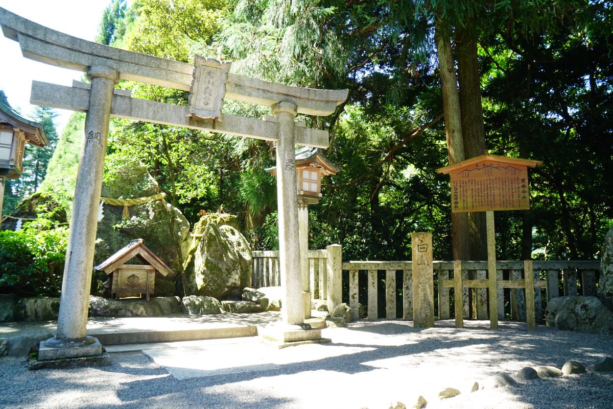 御朱印中文站on Twitter 今参拜白山比咩神社 为白山神社本社 比咩 两字音同 比売 姫 ひめ 各地分社常有多种汉字写法 祭菊理媛 尊 伊弉諾尊与伊弉冉尊 神社境内幽静 御朱印的书写风格也比之前网上流传的版本要进步不少
