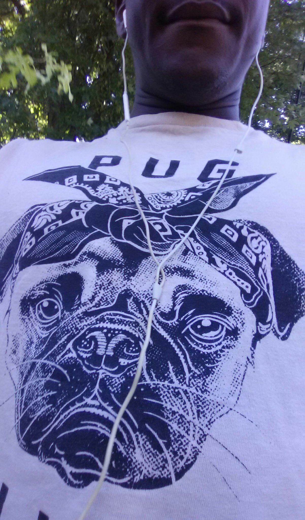 Pug life #comment #comment4comment #me #c4c #commenter #comments #commenting #love #comments4comments #instagood #commentteam #commentback #commentbackteam #commentbelow #photooftheday #commentall #commentalways #pleasecomment https://t.co/TPTcACli1E