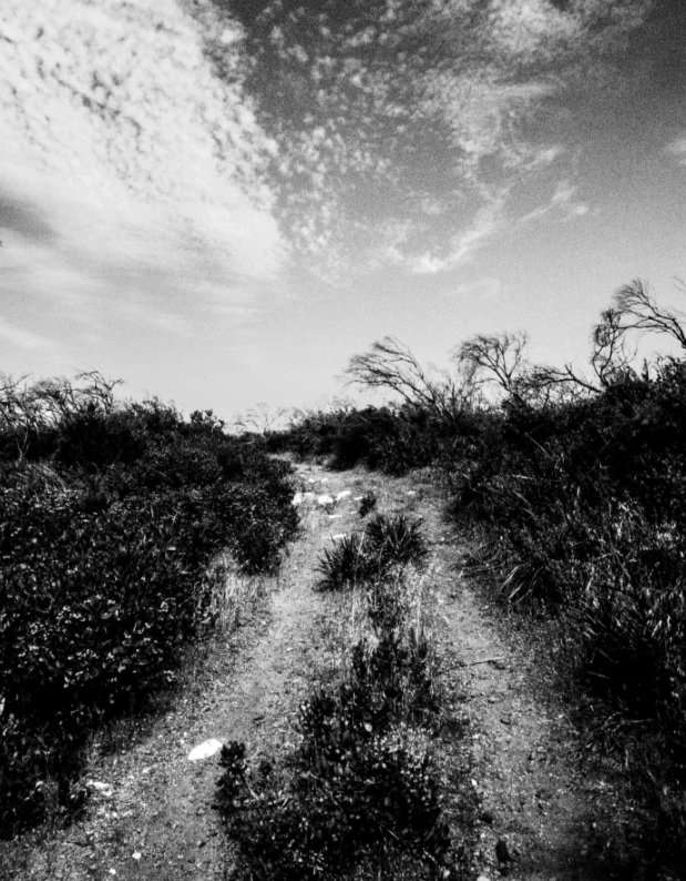 Liminal_Drifter's tweet photo. Fremantle and Perth are amazing places to walk around, here's a few of my shots of some (inspiring!) local environment #LiminalDrifter #Fremantle #Perth #environment https://t.co/C9iRBEPnjk