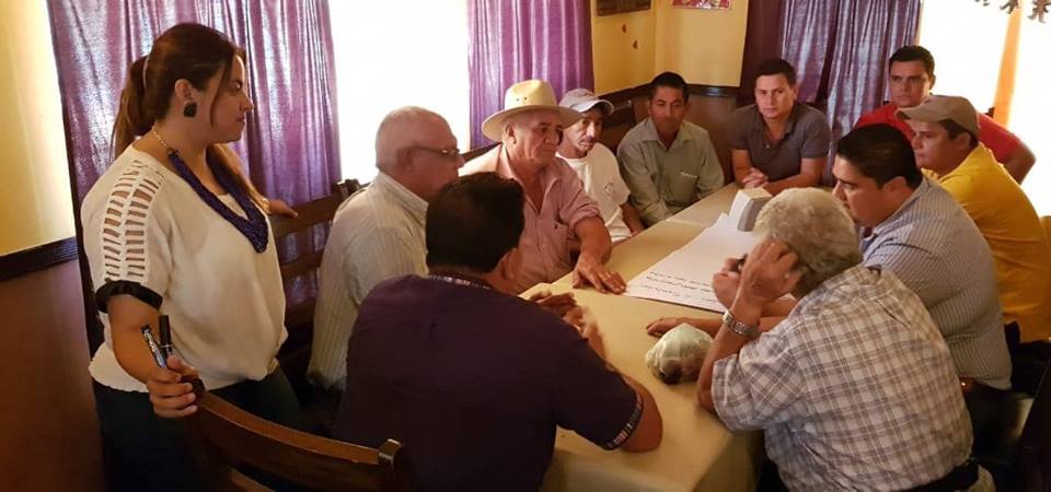 saghonduras's tweet photo. Tela, Atlántida: Productores de #rambután, exportadores, cooperantes y Gobierno se reunieron para hacer un análisis rápido y elaborar una ruta de trabajo para fortalecer el recién creado Comité Nacional de la Cadena de Rambután en #Honduras / #SAG #PRONAGRO #HondurasAvanza https://t.co/UYb1ObW1cx