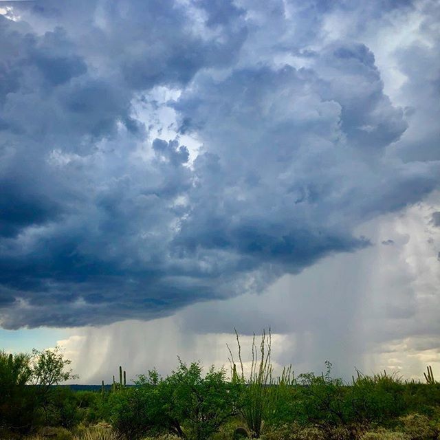 Mark Newhouse tweet media