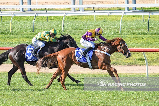 vicbreeders's tweet photo. Maiden victory for the Murray Thoroughbreds bred LA LOVA (STREET BOSS) at Warrnambool. She was sold through the 2016 Magic Millions Adelaide Yearling Sale for $110k! Trainer Aaron Purcell &amp; jockey Chelsea MacFarlane https://t.co/9MR2ZM4500