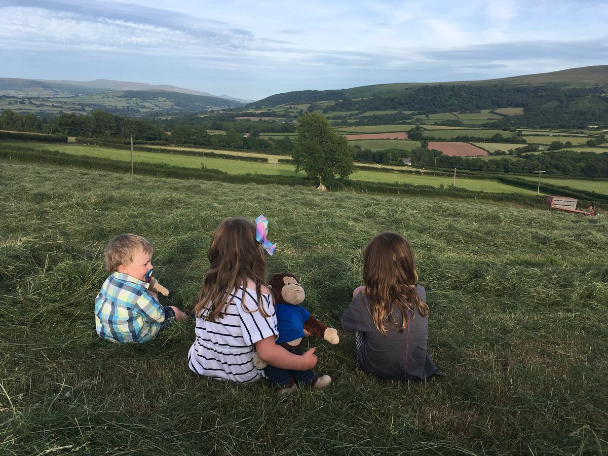 pdf The Deep Sea Canyons in the Gulf of Guinea