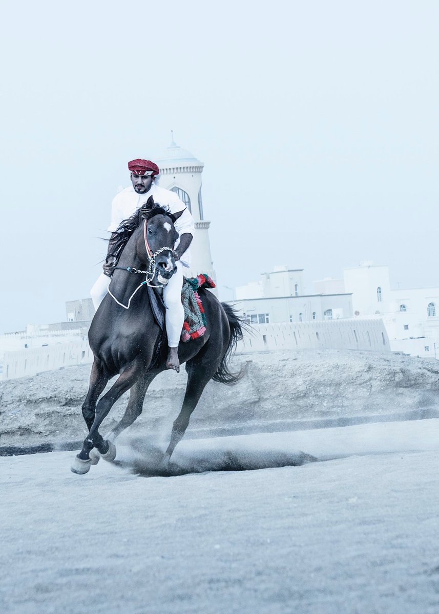 لقطات من عرضه الخيل - ثاني ايام عيد الفطر ، صور : الساحل 🐎

لـ <a href="/Mua4yad/">مؤيد آل فنه</a>
