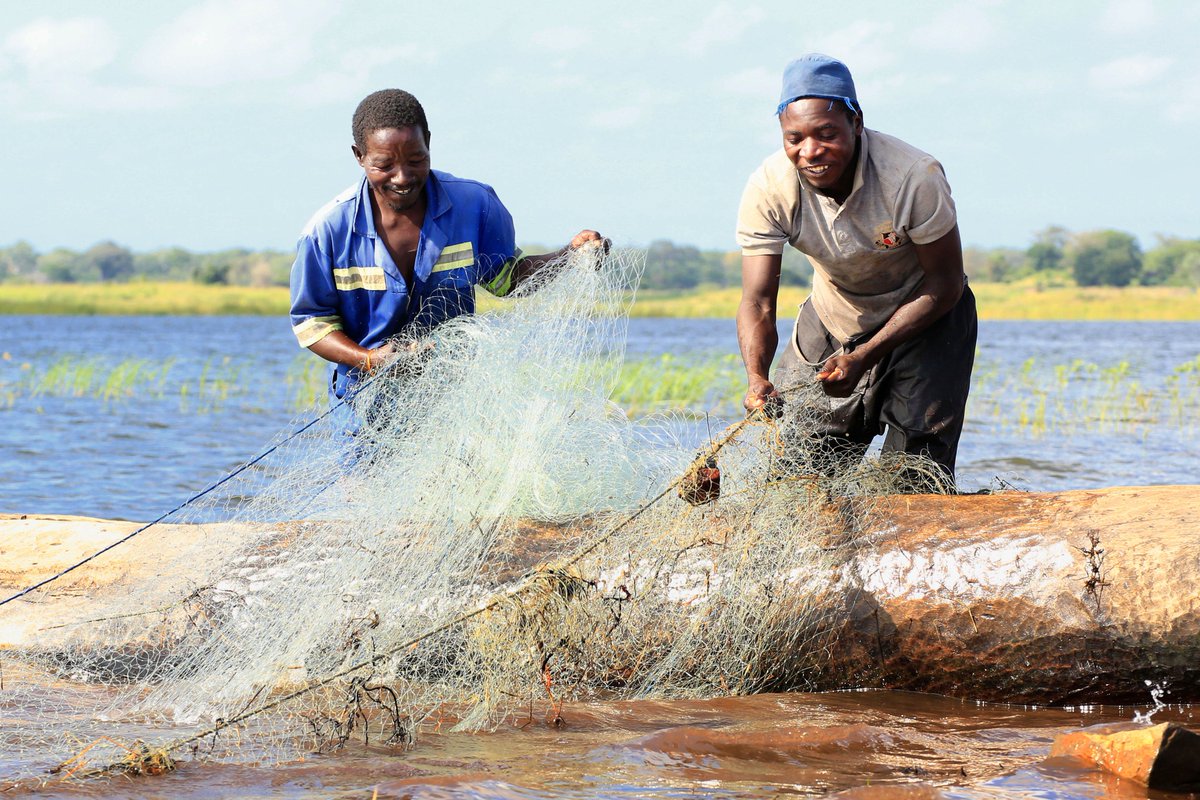 IUCN_Water's tweet photo. Water, ecosystems & human development is the leading theme of this year’s World Water Week. For development to prosper and flourish, water and ecosystems need to be given the chance to do the same: https://t.co/wMBGvRC7yf #WWWeek https://t.co/rlxhw4n97e
