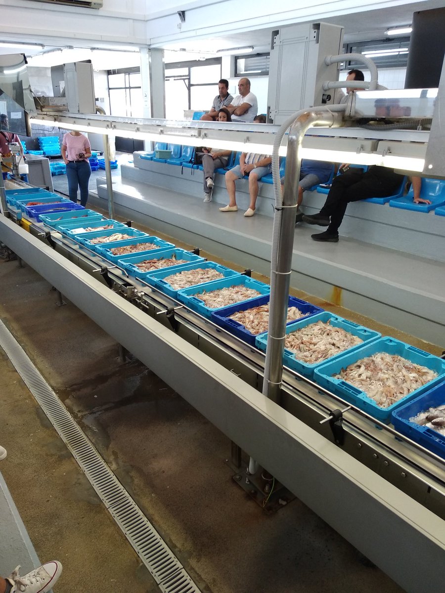 RebolloBurger's tweet photo. Hemos aprovechado las vacaciones para ver en primera persona el proceso del pescado recién capturado

#lonja #denia #marisco #pescadofresco #subasta #rebollo #mostoles #comesano #comidasaludable #healthyfood https://t.co/c1hWC1aSOd