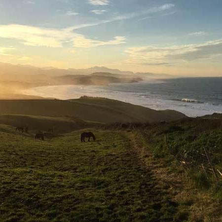 Many thanks to the magazine Toads and Princesses for including us in their article "Magical places to sleep on beach with children". #campingtreumal  

ow.ly/i9Sp30lwsff