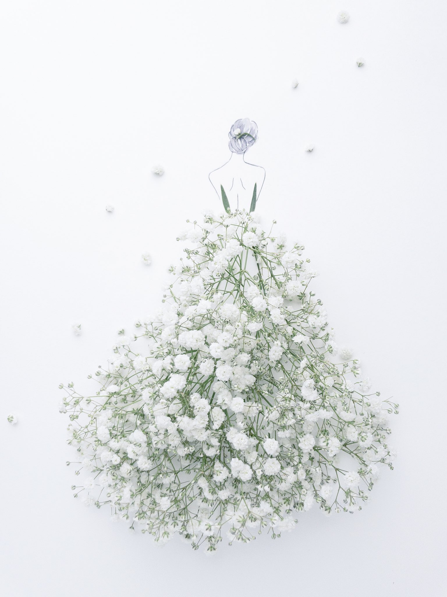Twitter 上的 はな言葉 葉菜桜花子 新刊発売 かすみ草 花言葉 夢見心地 清らかな心 T Co Y4hsttzhls Twitter
