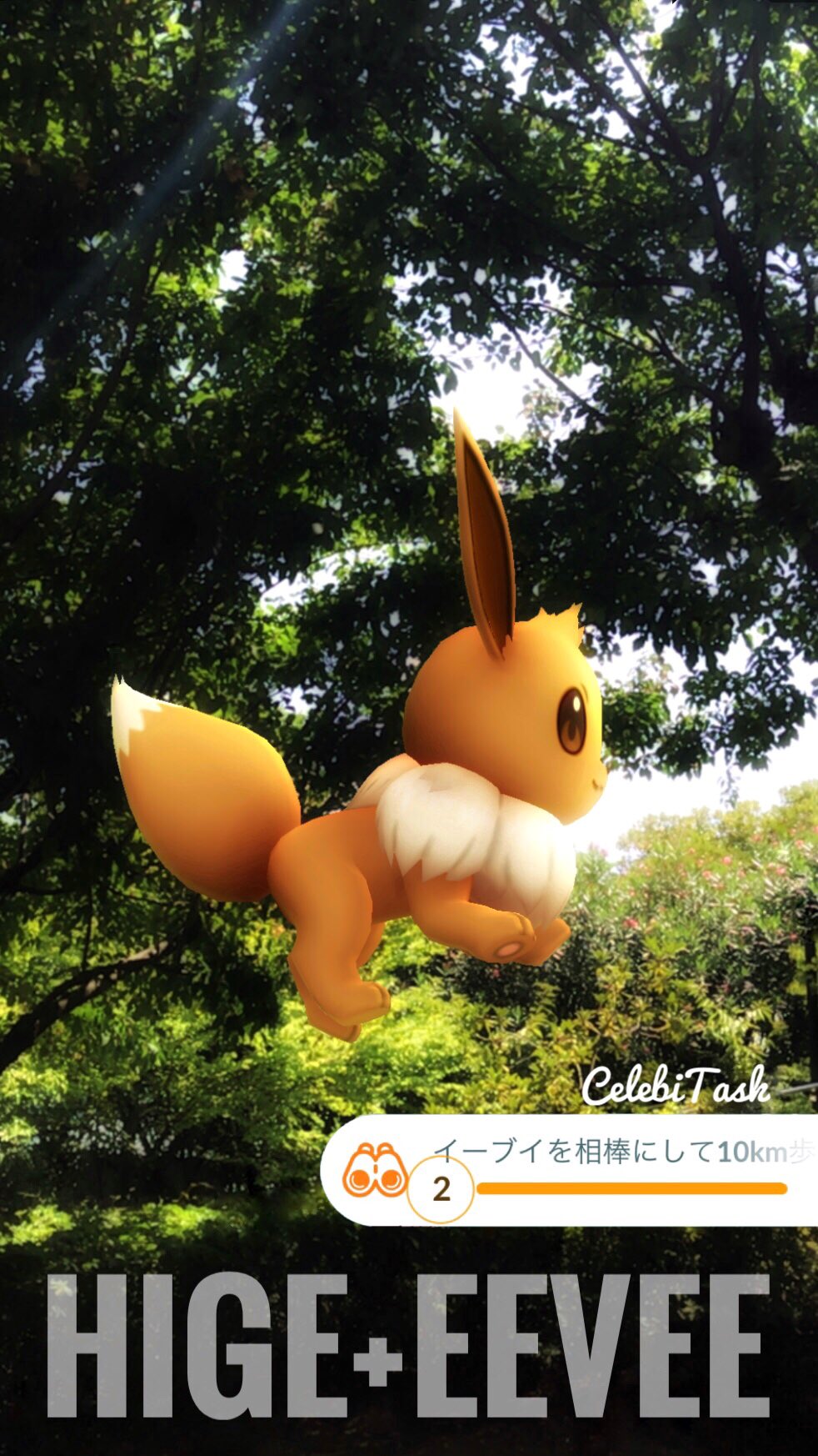 時を超えるポケモンを追え Twitter Haku Twitter