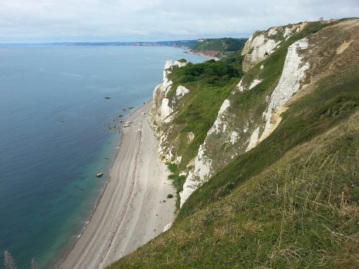 grahammoorby's tweet image. In 1790 this section of the #Hooken cliff in #Devon slide into the sea. The path thru the landslip is a mix of tangled undergrowth and towering chalk cliffs. One of my favourite walks.