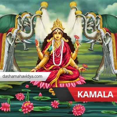 DMahavidya's tweet photo. Kamala is the tenth of the ten #Mahavidya Goddesses. #GoddessKamala is considered the most supreme form of the goddess https://t.co/XrhRX0lKdJ
#DashaMahavidya #kali #Tara #Shodashi #Bhuvaneshvari #Bhairavi #Chhinnamasta #Dhumavati #Bagalamukhi #Matangi #Kamala #Lakshmi https://t.co/ry13CuRjiP