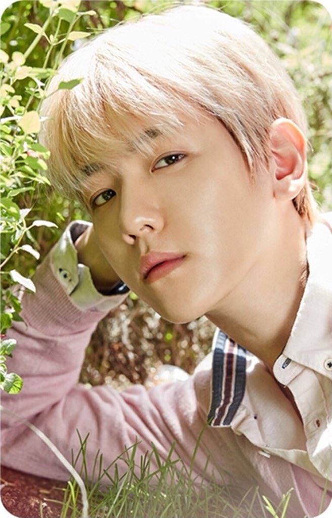 GamgoHeyoyamo's tweet photo. @B_hundred_Hyun great https://t.co/jOCda8fsxJ