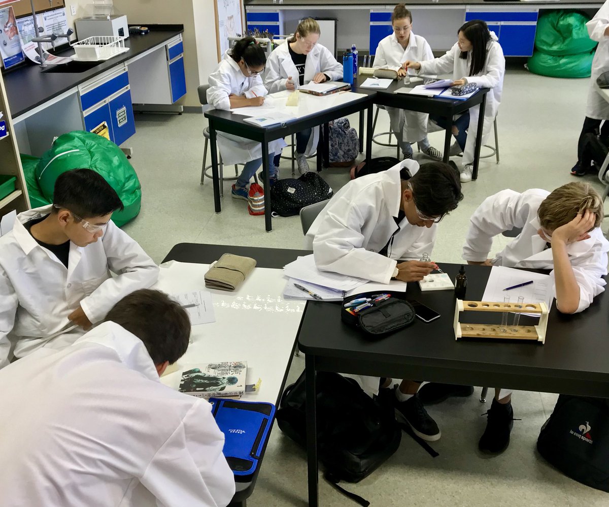 steppescience's tweet image. Great to start MYP Science classes. Grade 9 Ss inquiring into different types of chemical reactions. #MYPScience #ISUmng