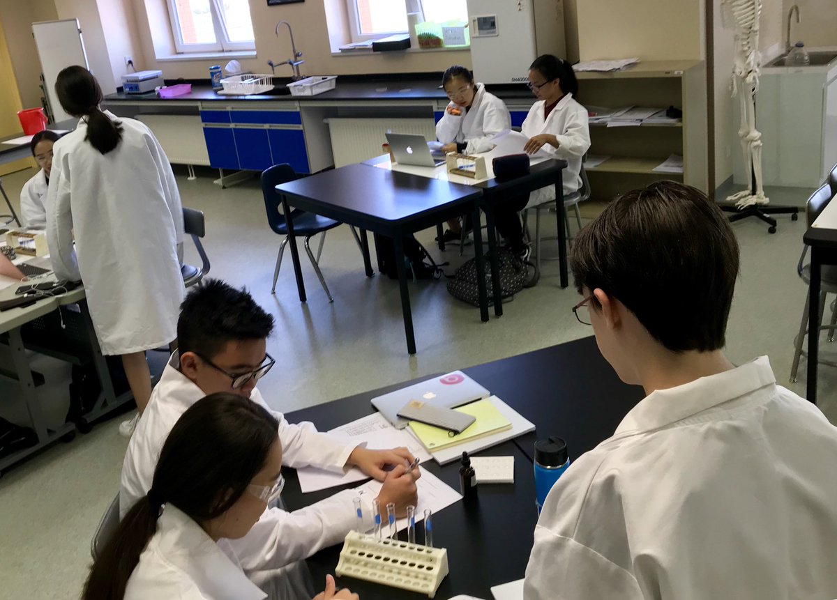 steppescience's tweet image. Great to start MYP Science classes. Grade 9 Ss inquiring into different types of chemical reactions. #MYPScience #ISUmng