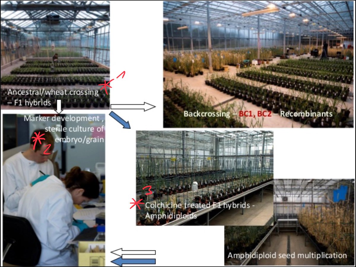 overview of industrial process