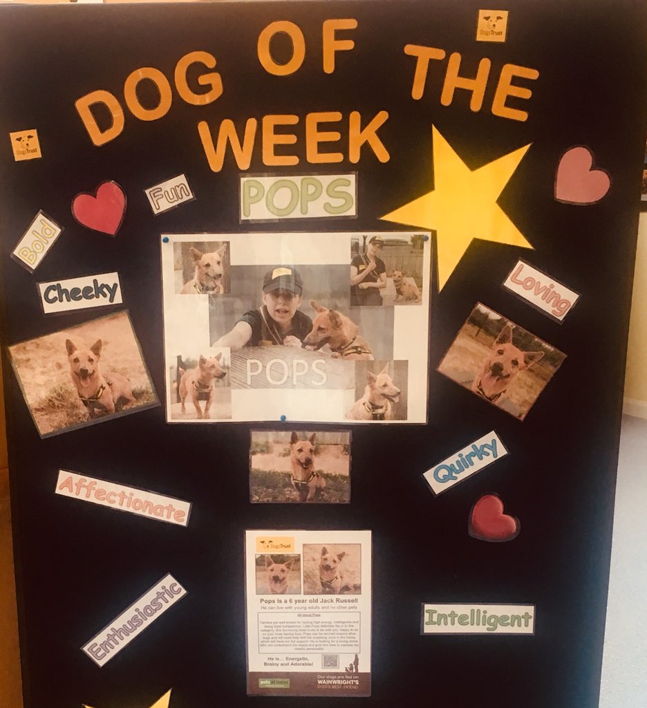 CSL_CSI's tweet image. Brilliant meeting with @TheLinksGroup and a chance to tour the fantastic facilities @DogsTrust Loughborough. 🐾Met some of the lovelies looking for their fur-ever homes, including cheeky chappy Pops!
#adoptdontshop 
#StepUpNotBack
#collaboration