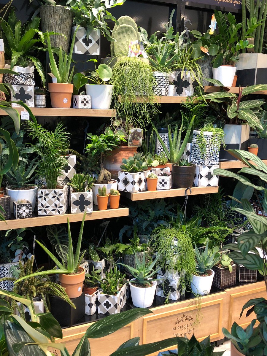 Bonjour Twitter, vous allez bien ?