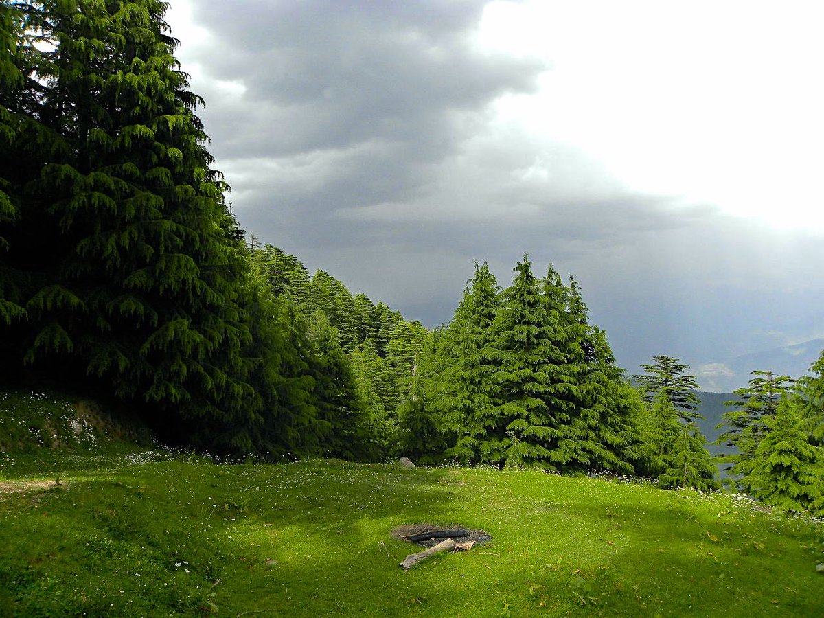 captainkohli_'s tweet photo. Kalatop Wildlife Sanctuary, Views that will make you love nature at Dalhousie #adventure #travel https://t.co/CH482VPBaA #Forbes #SillyFellows #wanderer https://t.co/V8W42A0kpP
