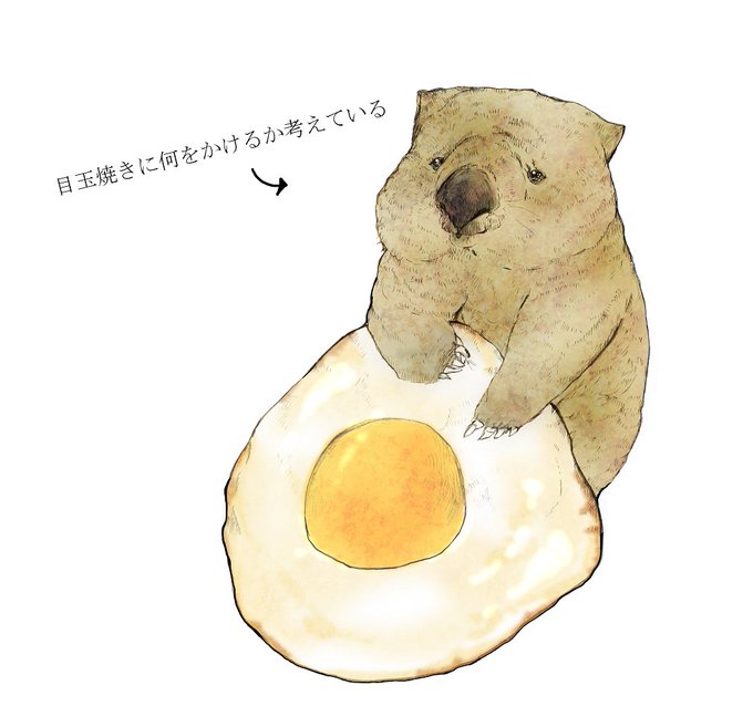ウォンバット描いてみたのtwitterイラスト検索結果