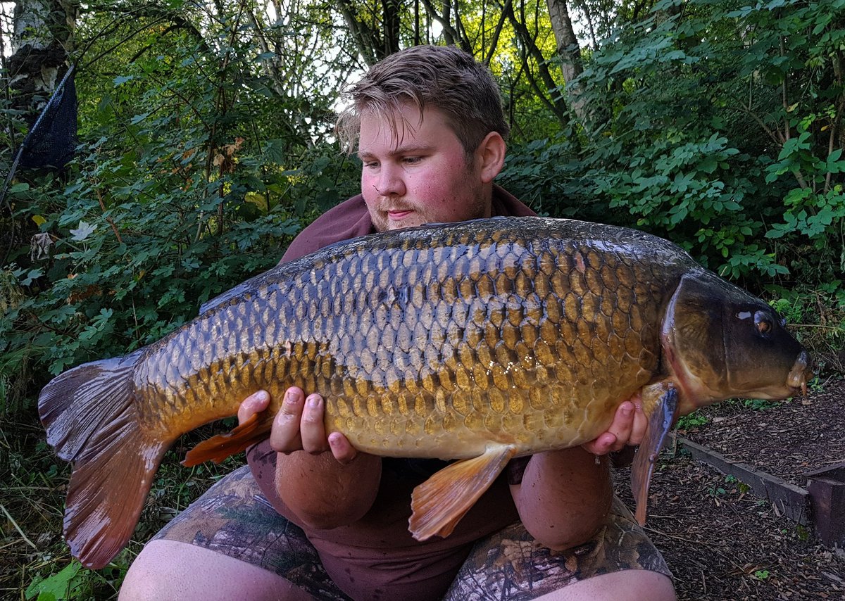 DanHoweAngler's tweet photo. Fifth of the session ππ£ #corebaits #cb4 #nohypejustbait #pbproductsuk #hullparticle #castawaypva https://t.co/rLt1kGcKQw