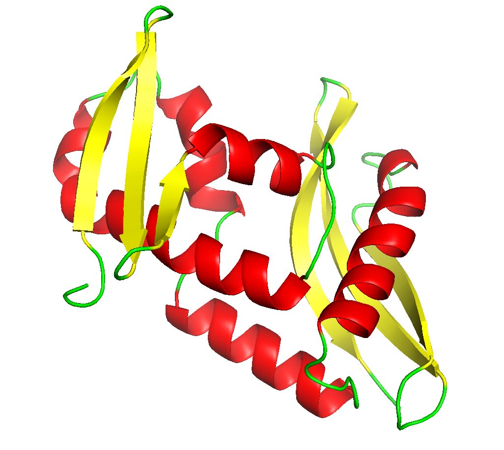 rbolab's tweet image. Just submitted last target for #CASP. Bring on the results in December! That makes a total of 426 ab initio models with our #proteinstructureprediction pipeline RBO-Aleph, #contactpredictions for 90 targets  w. Epsilon-CP & 85 XL data-assisted #models robotics.tu-berlin.de/menue/research…