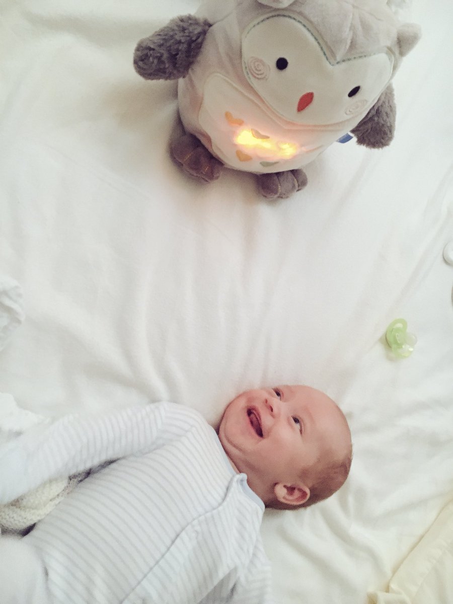 Scott Webb tweet media