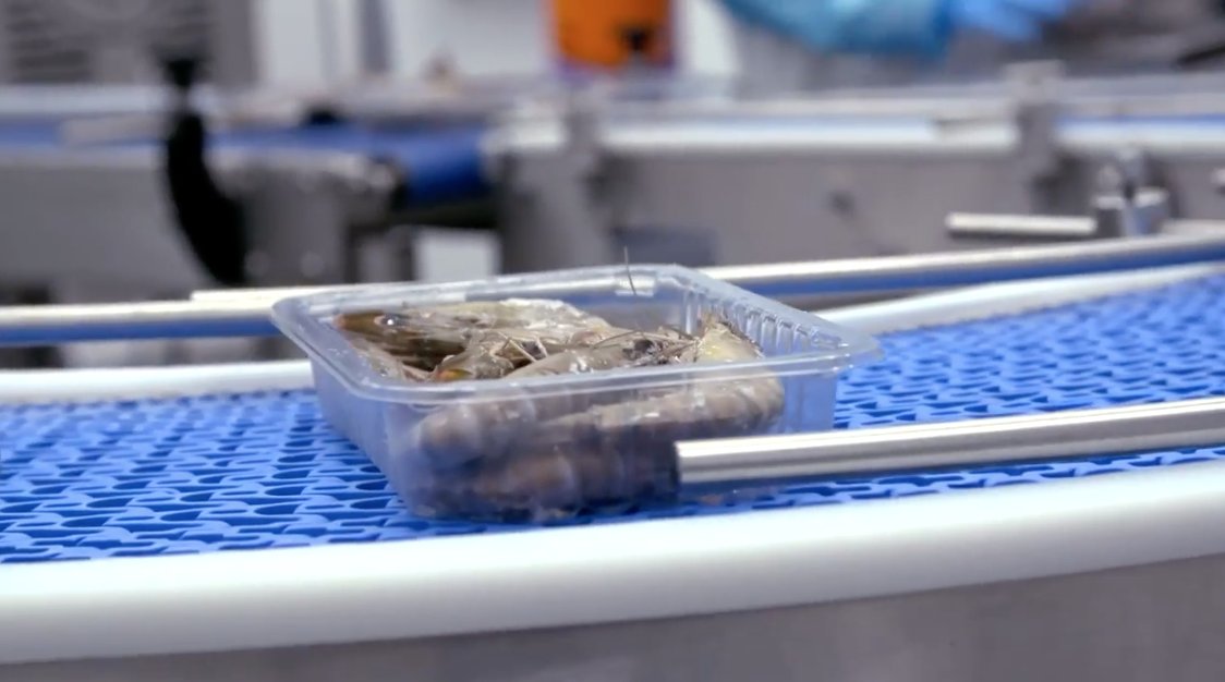 TheBigPrawnCo's tweet photo. As sponsors of the #Young #SeafoodChef of the Year, we invited tutors from many different #colleges across the country and showed them how our #ProcessingFactory works and explained our #love for #quality and #sustainable #seafood. Watch the video here > https://t.co/oHZp2WmOsZ https://t.co/1eB6jbX2kq