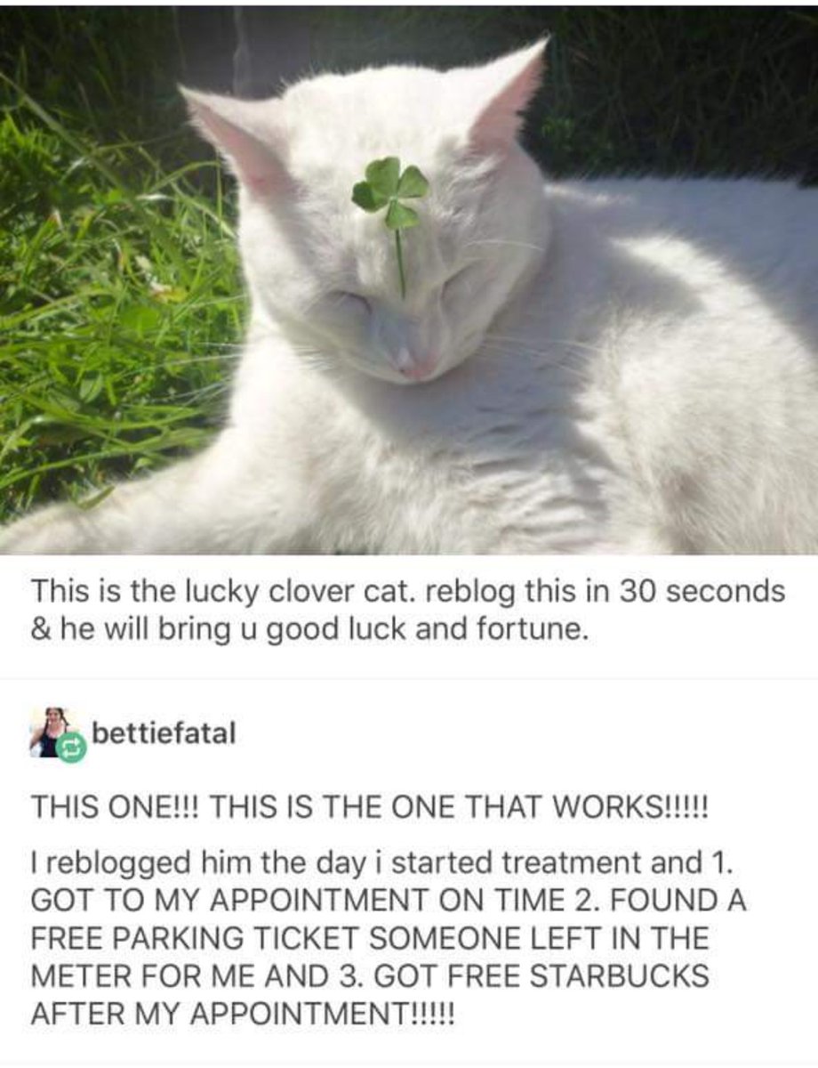 jill marie deplacido tweet media