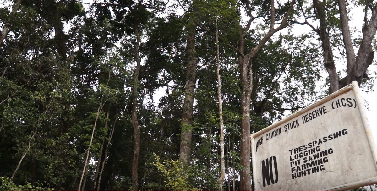 EarthwormGlobal's tweet photo. How can land be developed responsibly, ensuring protection for communities &amp; #forest areas? The @Highcarbonstock approach is one way. Watch our latest film to find out more: https://t.co/lHSlMXDwmU #conservation #biodiversity https://t.co/vWLVIUrttc