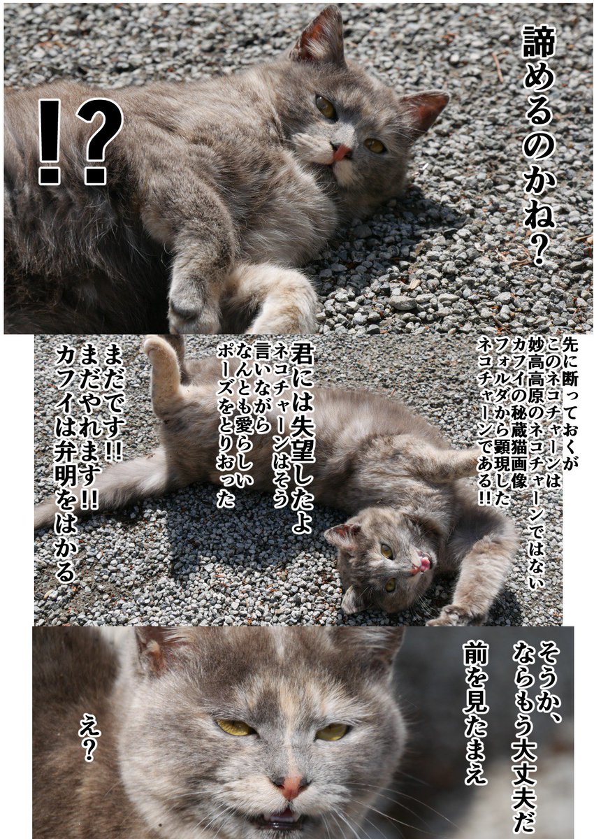 妙高高原に夏を観に行ったときのはなし その4 #妙高高原 