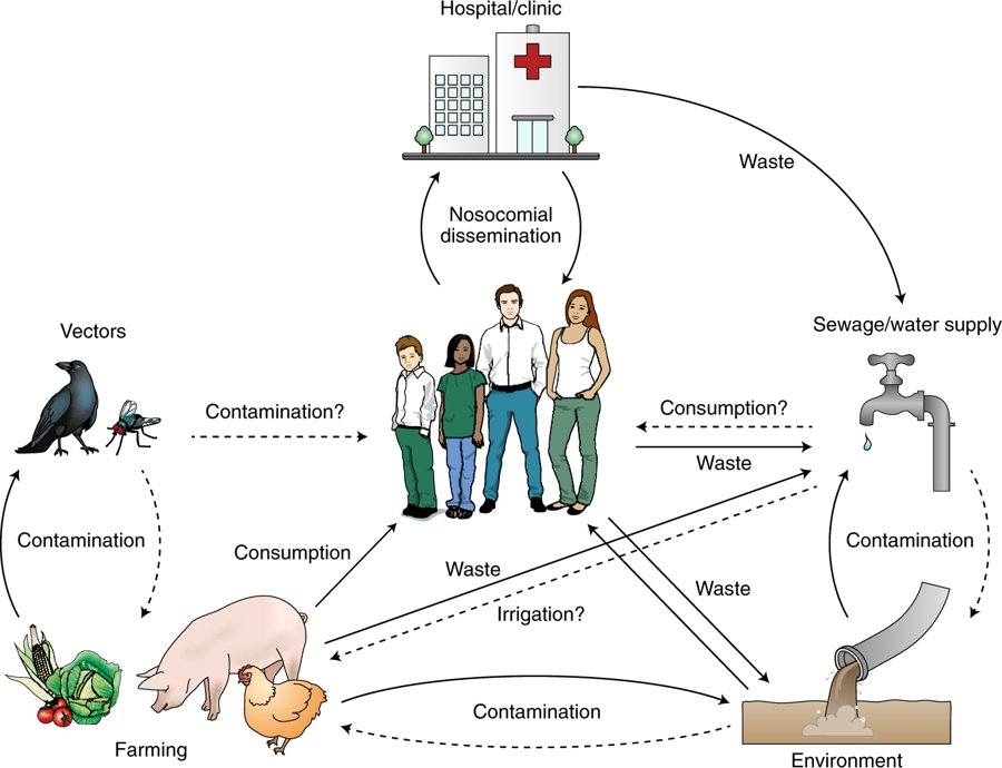 free integrity and personhood looking at patients