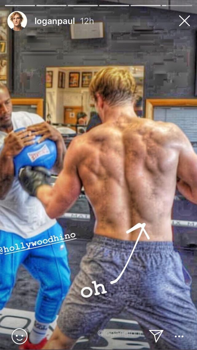 ParrotPrincessP's tweet photo. @LoganPaul y tf does ur back look like an elephant?😂🐘 https://t.co/z8UXK4AqIm
