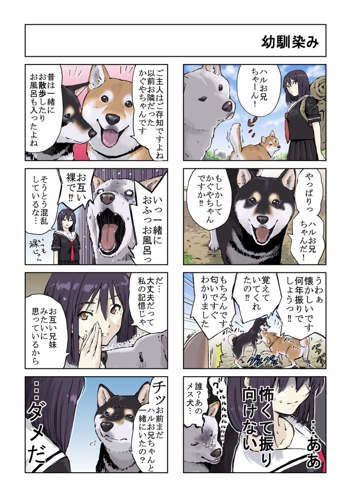 #世界の終わりに柴犬と #柴犬 #4コマ漫画
世界の終わりに柴犬と 旅する話 82 