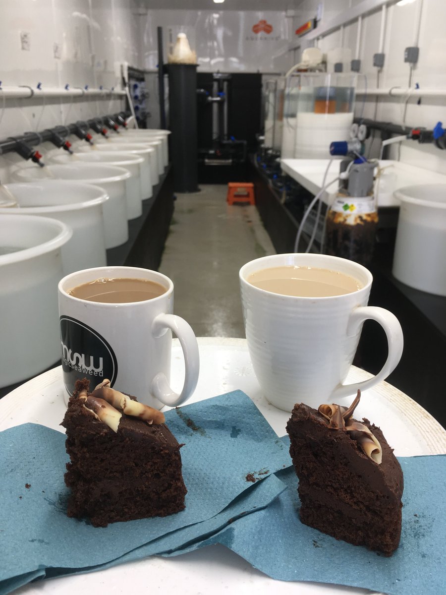 PadstowLobster photo