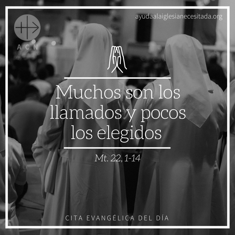 AyudaIglesNeces's tweet photo. #Angelus Señor que no rechace tu llamada cuando la escucho y sepa dar una respuesta de amor a tu voluntad. #DecirQueSi #EvangeliodelDia https://t.co/A9w1zYmazB