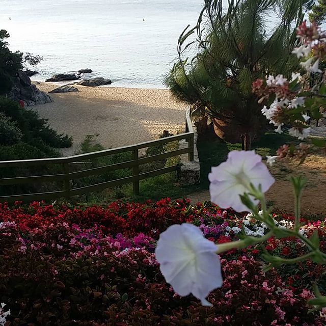 ¡Hasta pronto! ¡Poquitos días pero ya tengo bravaminas para todo el año! Ya lo dice su nombre ... ¡Treumal!
#costabrava #campingtreumal #mediterraneo #treumal <a href="/campingtreumal/">Camping Treumal</a> #camideronda 📷: <a href="/pilarramosortiz/">Pilar Ramos</a>

Muchas gracias!!! Gracias por volver a visitarnos!! #campingtreumal