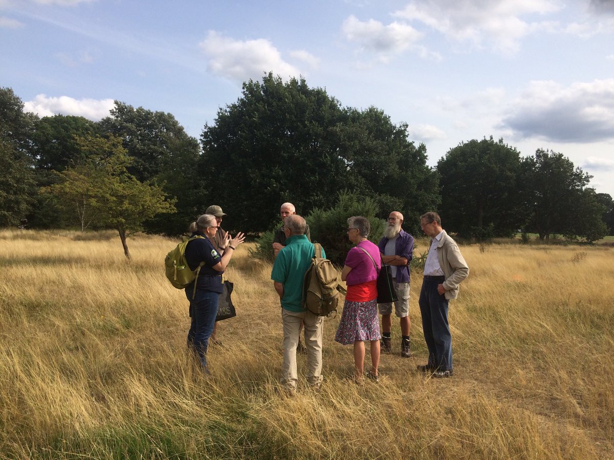 Jeremy_Clyne's tweet image. Interesting afternoon with ⁦@TootingCHP⁩ learning from biodiversity officer Valerie Selby about rare acid grassland on #Tooting Bec Common