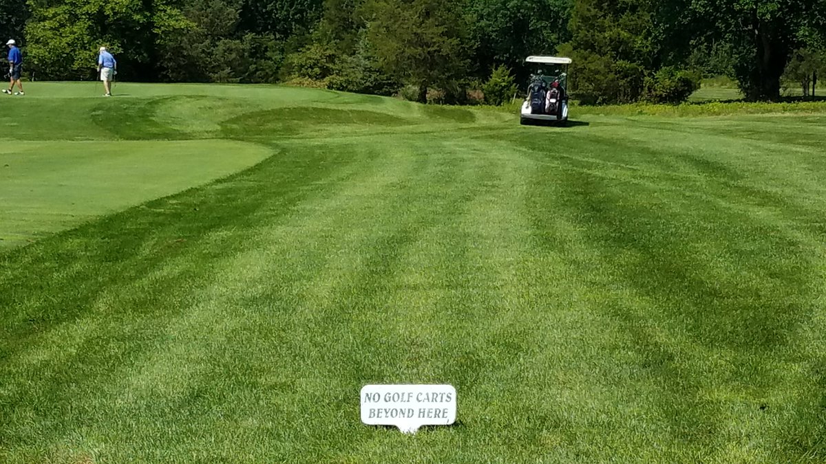 tkarch15's tweet image. Never fails to amaze me. Haha