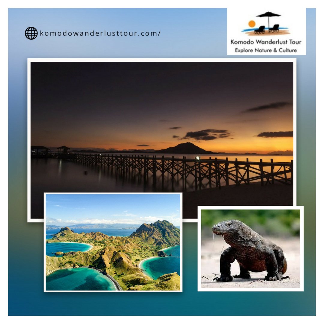komodowanderlus's tweet photo. Trek in #RincaIsland! 😮😮
Observe the giant lizards also known as #KomodoDragon in the National Park.
Swim in #Kanawa_Island and enjoy the underwater view. For more details 👇👇 https://t.co/OWXMsFozEq
#TripToKomodo #KomodoWanderlustTour #Travel #Island #KomodoNationalPark https://t.co/adhaa6RiHx
