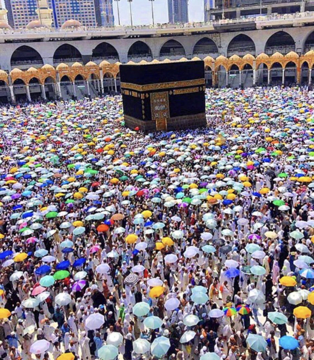 اختلفت
الألوان
والأوطان
واللغات
"وجمعهم دينٌ واحد"

أجمل لقطة ختام 💜💙💚💛❤️💗