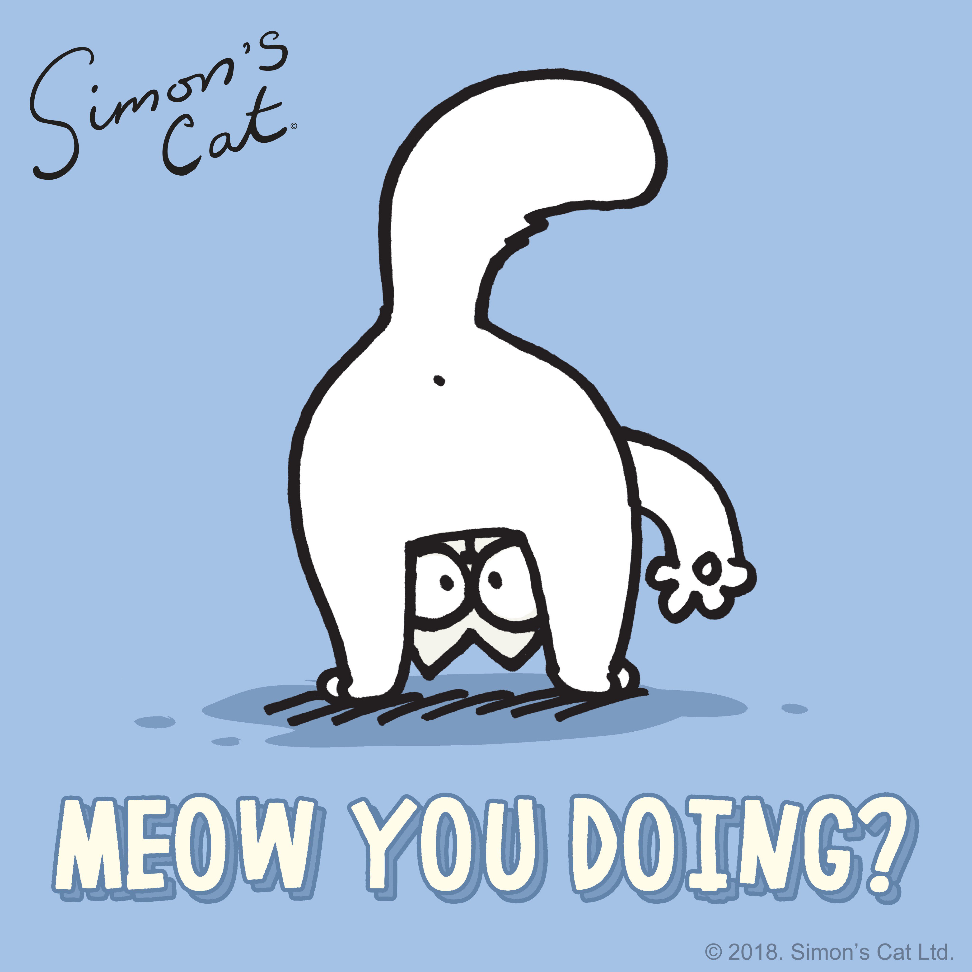 Simon's Cat 🐾 on X: How are you today?! 😺 🤗 Hope you are